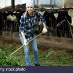 Práca na farme / Denmark